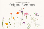 Watercolor Wildflowers & Leaves, a Decorative Illustration by Damian Roh (Thumbnail 4 of 24)