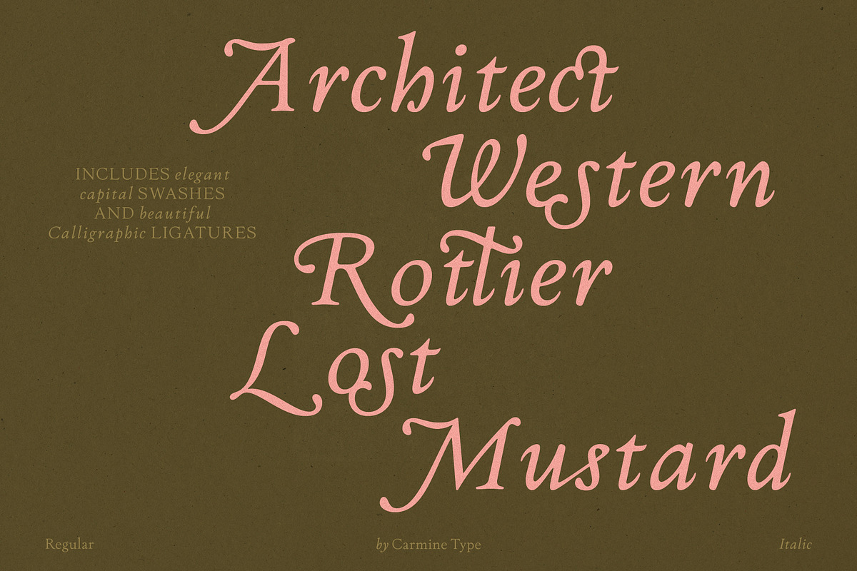 The Ashcombe Hall Oldstyle Serif, a Serif Font by CarmineType (Photo 5 of 24)