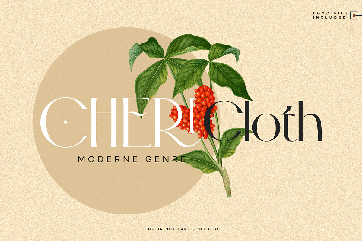 The Bright Lake Font Duo + Logos, a Serif Font by SNIPESCIENTIST (Photo 3 of 31)