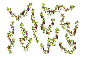Grape bunches set. Cluster of, a Food Illustration by the8monkey