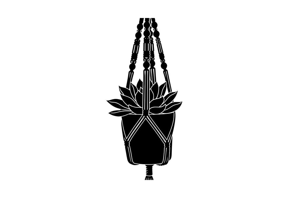 Macrame Plant Hanger Bundle, an Illustration by Creativeshirt (Photo 28 of 31)