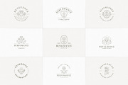 36 Botanical Logo Templates | Canva, a Branding & Logo Template by Vasya Kobelev (Thumbnail 3 of 10)