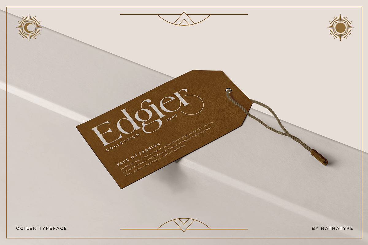Ogilen, a Serif Font by Nathatype (Photo 6 of 10)
