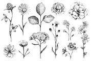 Summer nature illustrations kit, a Texture Illustration by Sundra (Thumbnail 3 of 7)