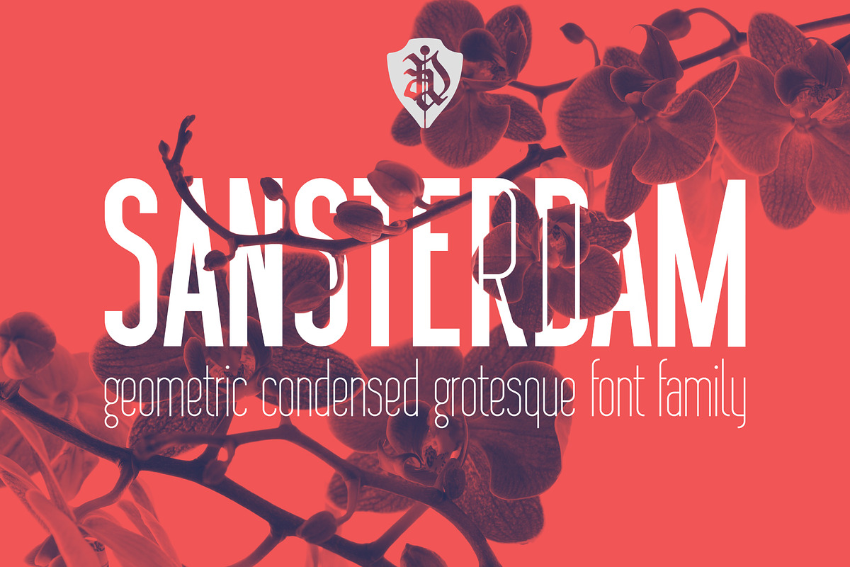 Sansterdam Bold and Thin