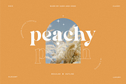 Peach - Modern Chic Serif, a Serif Font by Sans & Sons (Thumbnail 1 of 9)