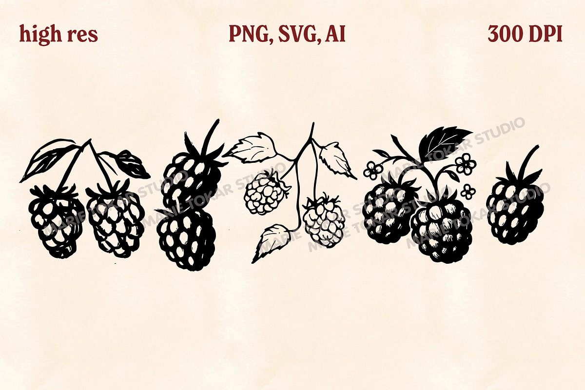 Whimsical Berry Fruit Bundle SVG PNG, a Food Illustration by Marie T (Photo 26 of 36)