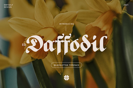 ED Daffodil, a Blackletter Font by Emyself Design