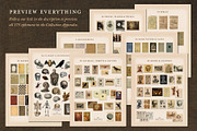 175 Vintage Halloween Ephemera, an Object Graphic by The Object Atlas (Thumbnail 5 of 13)