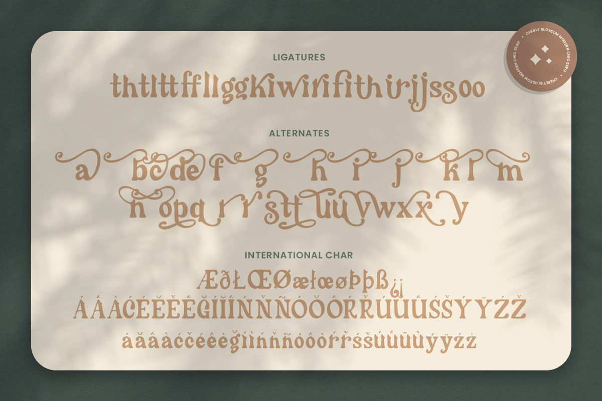 Cherly Blossom Modern Chic Serif, a Serif Font by Creatype Studio (Photo 9 of 9)