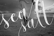 Lemonsalt Sweet Script, a Script Font by FadeLine Studio (Thumbnail 9 of 9)