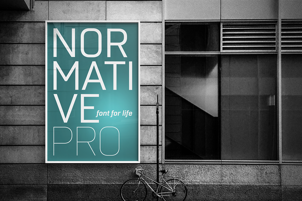 Normative Pro - 4 fonts preview 2