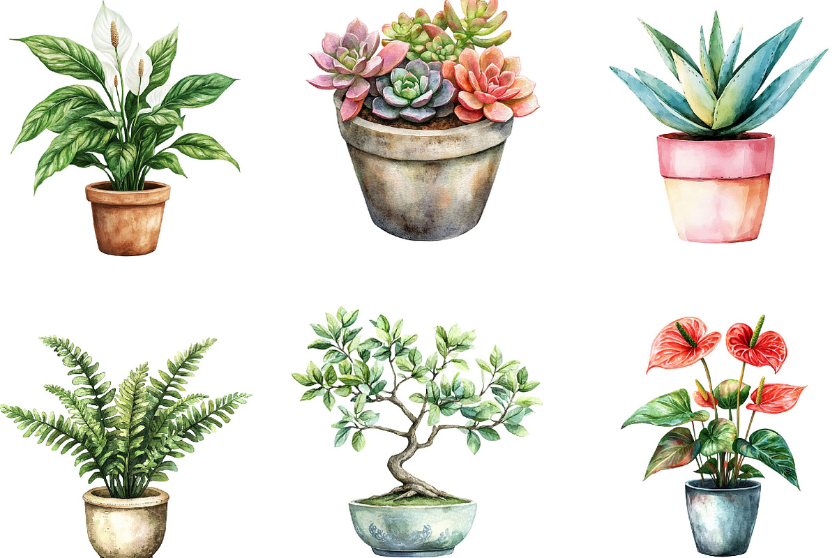 Watercolor Home Plants Clipart, an Illustration by Designking (Photo 3 of 5)