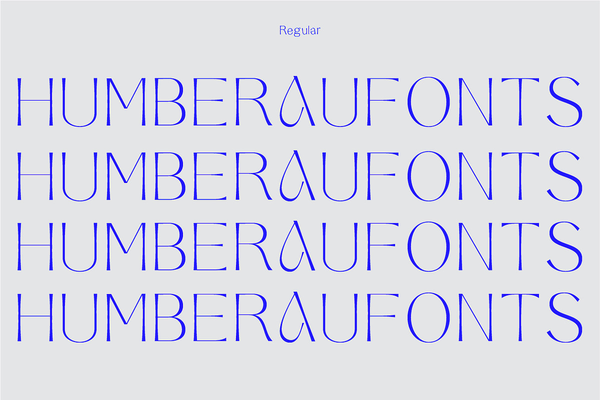 Aeglar Display, a Serif Font by Portion.Labs (Photo 3 of 12)