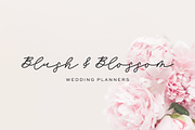 Lunabelle Script Font, a Handwritten Font by Beck McCormick (Thumbnail 8 of 10)