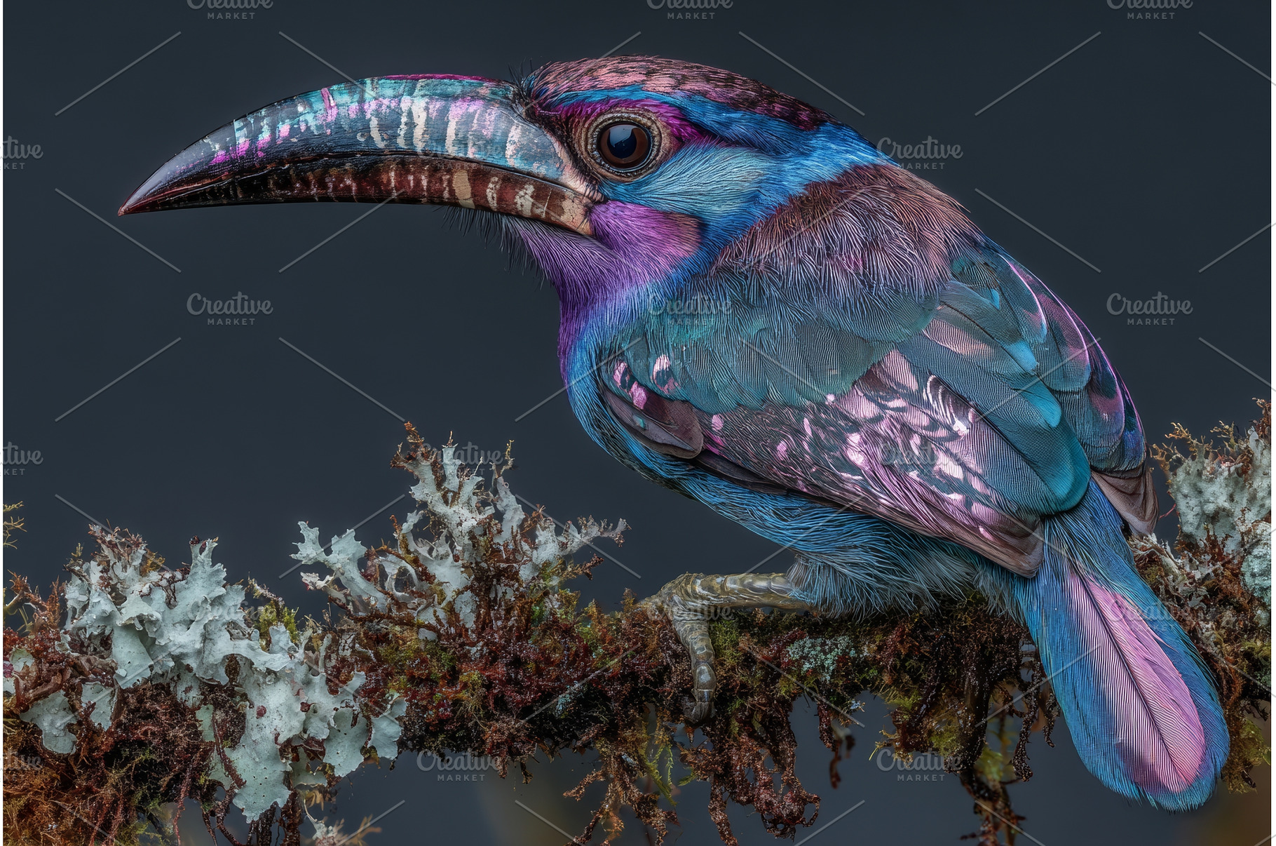 The image shows a close-up of a Red, an Animal Photo by ZinetroN
