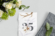 Spring Cotton and Dried Foliage, an Illustration by AnaPierceArt (Thumbnail 3 of 6)