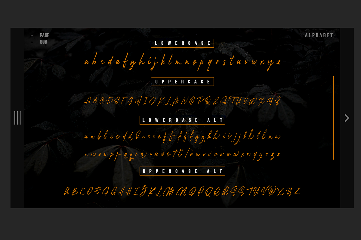 Robusta.02 + Sans Serif Font preview 5