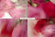 Dreamy Romantic Floral Backgrounds, a Background Graphic by eclosque (Thumbnail 2 of 27)