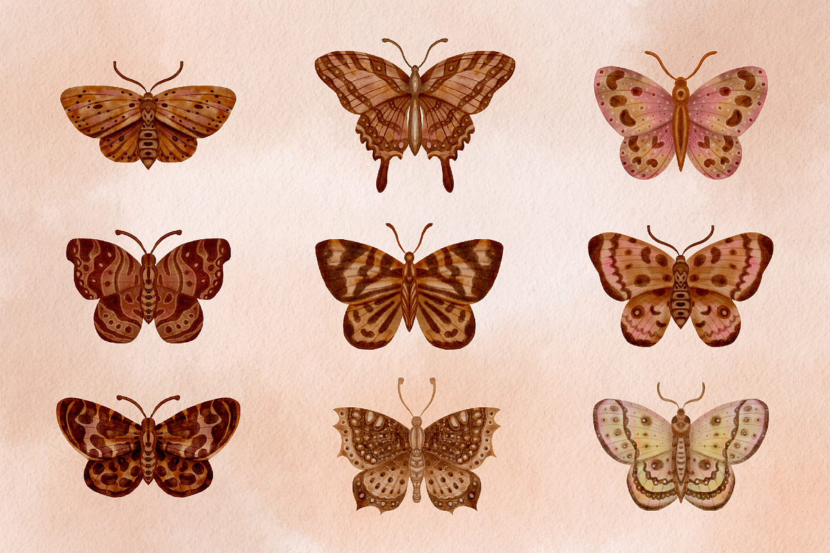 Watercolor Butterflies and Moths, an Object Graphic by Tiger and Flower (Photo 6 of 17)
