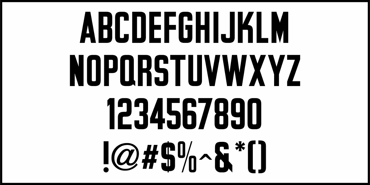 Privilege Sign, a Sans Serif Font by Jeff Levine Fonts (Photo 3 of 5)
