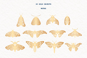 Mystic Moth Vector Collection