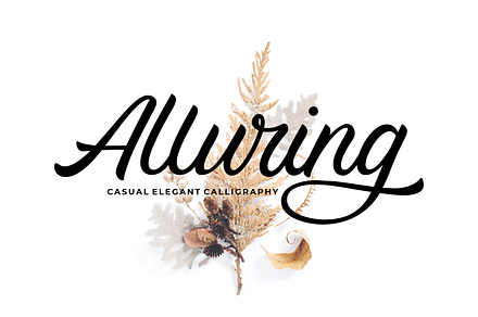Alluring Calligraphy Fonts