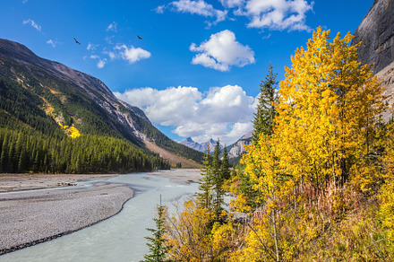 Autumn reduction of water in the river, a Nature Photo by kavram