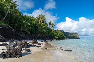 Idyllic white sand beach with coconut trees on Maupiti island, F, a Nature Photo by GoodGoods