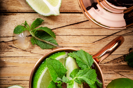 Moscow mule cocktails in copper mug with lime, ice, ginger beer,, a Food & Drink Photo by 5PH