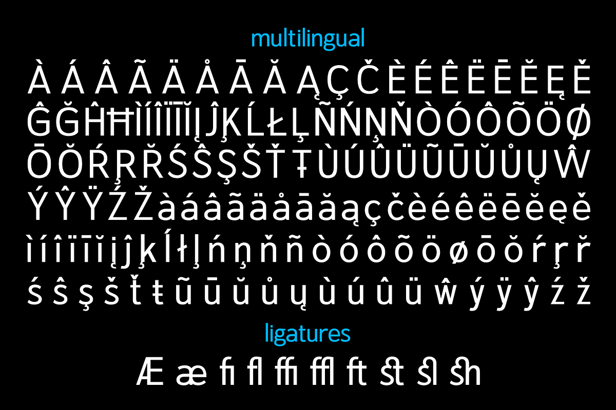 Sanstionale _ Modern Sans Family, a Font by zamjumps (Photo 11 of 12)