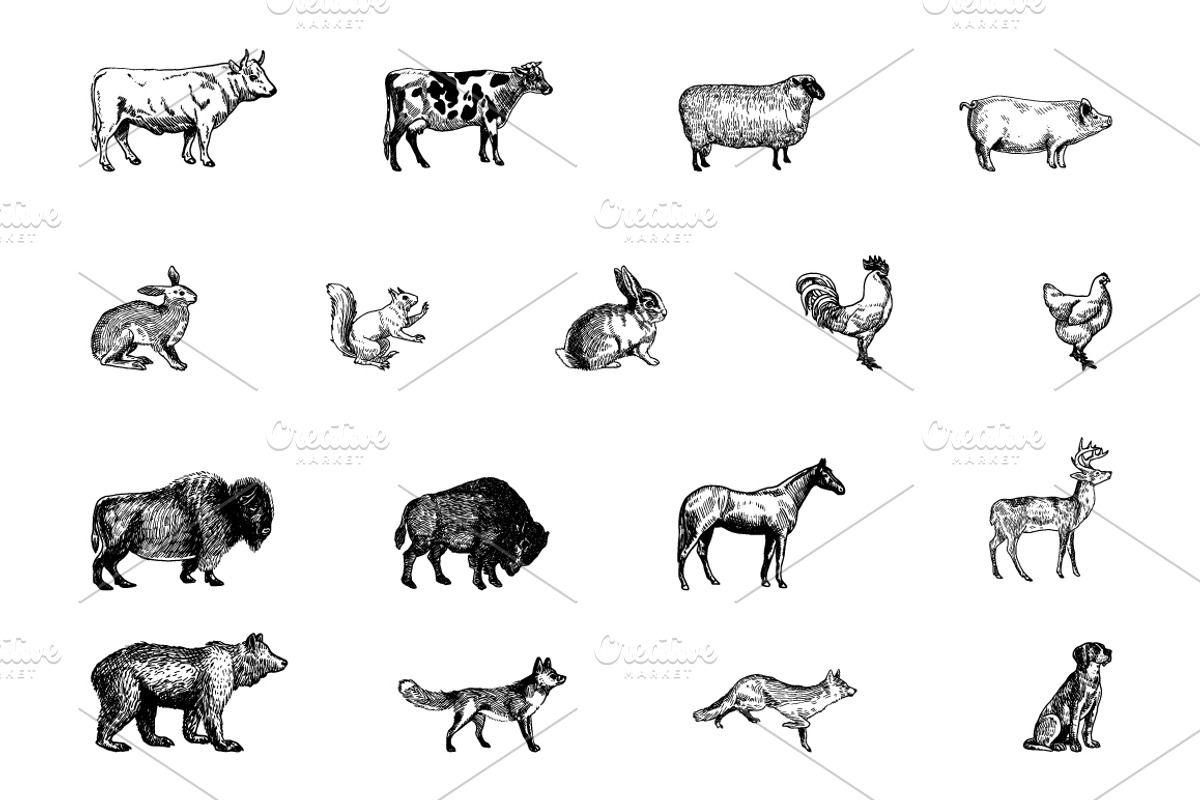 Rustic Clipart Volume 3 - AI PNG EPS, an Object Graphic by BirDIY Design (Photo 2 of 6)