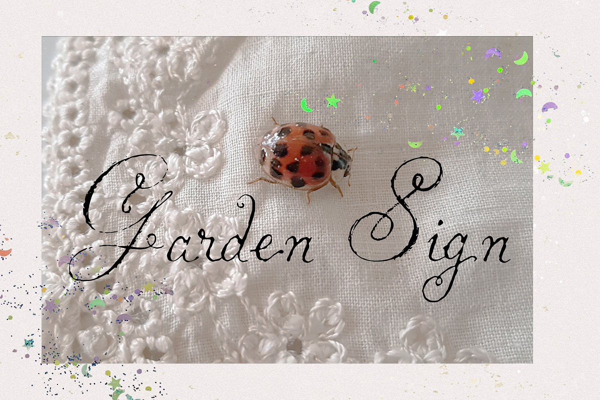 Soft Omen: Delicate Script Font, a Script Font by Mneme (Photo 6 of 9)