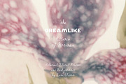 Abstract Blurry Floral Backgrounds, a Background Graphic by Lana Elanor (Thumbnail 6 of 12)