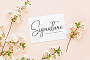 Fallen Angel | Script Font, a Handwritten Font by Scratchones (Thumbnail 5 of 9)