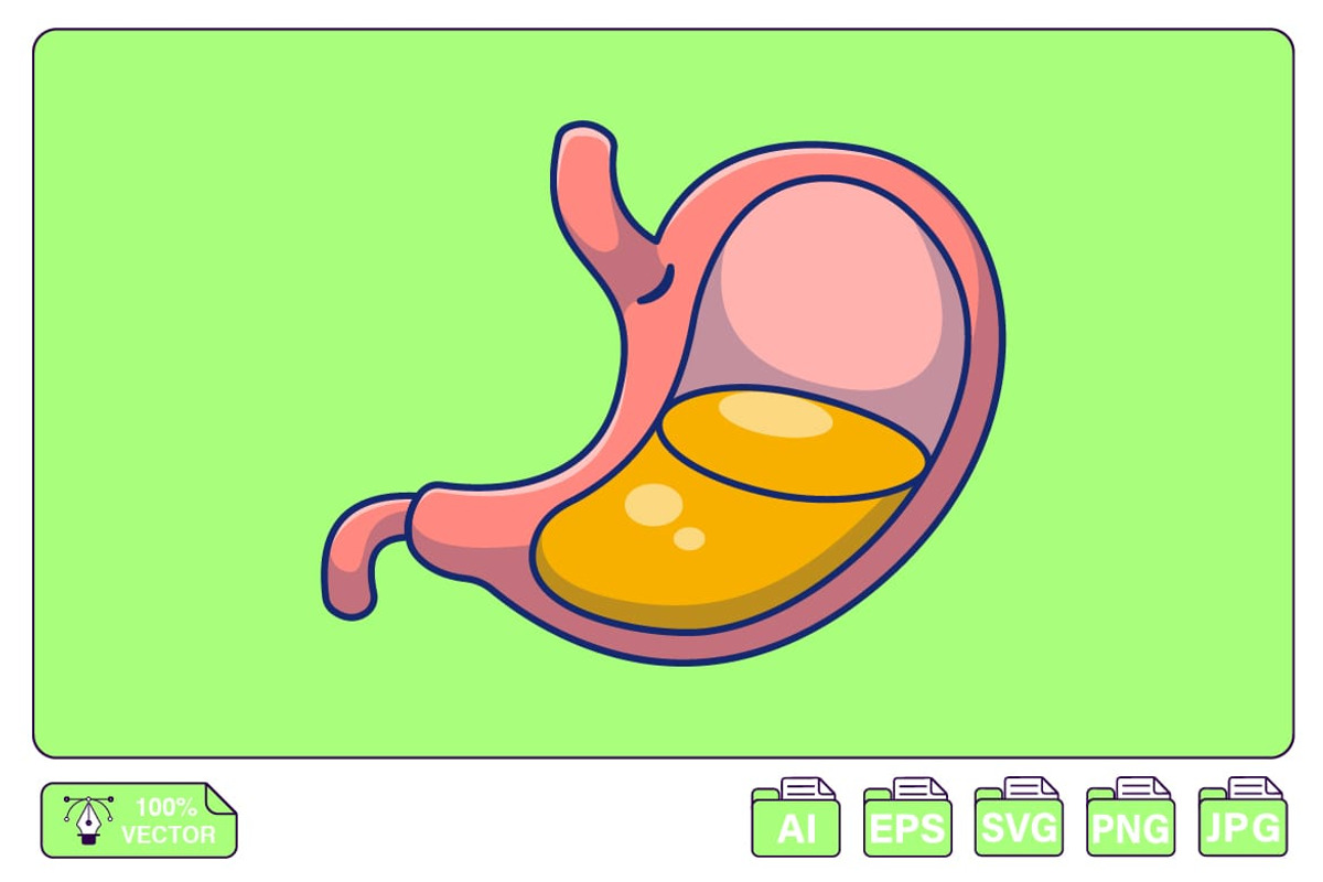 Stomach Cartoon Vector Icons, a Person Illustration by Artstorystudio (Photo 1 of 3)