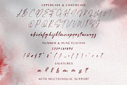 Faloney Script - Handwritten Font, a Script Font by StringLabs (Thumbnail 10 of 11)