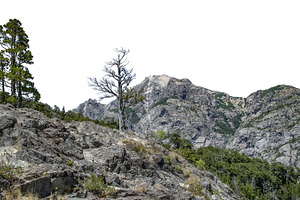 Rocky mountains and forest landscape isolated photo, a Nature Photo by DanFLCreativo