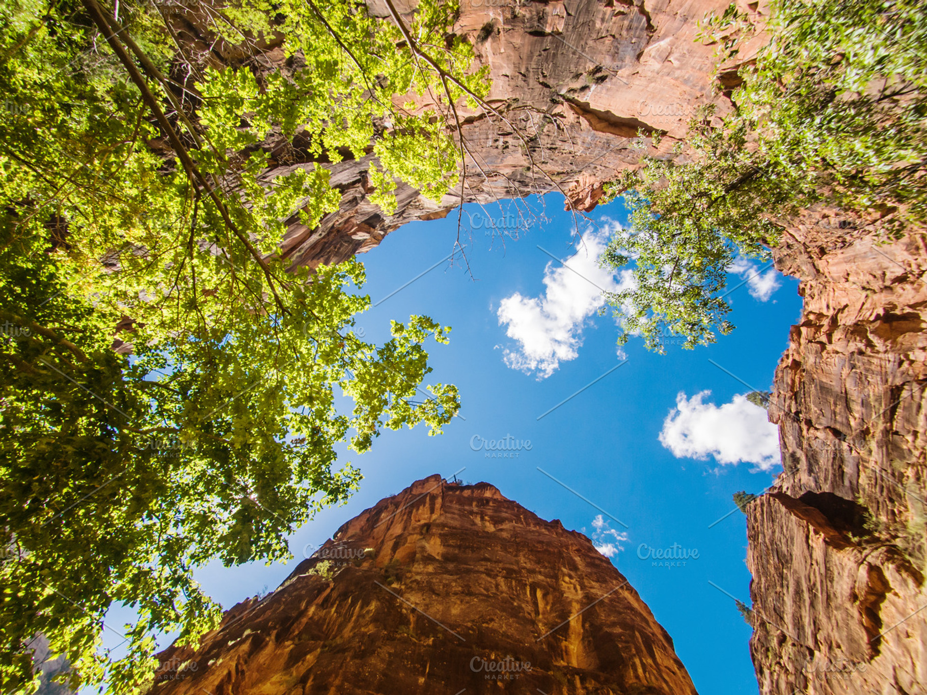 Usa stock photo containing zion and park, a Nature Photo by Pabkov