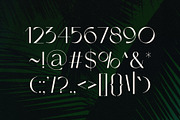 Ovsaniya - Timeless Typeface, a Sans Serif Font by HipFonts (Thumbnail 7 of 8)