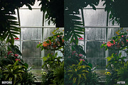 Moody Dark Green Lightroom Presets, a Preset Add-On by AAA Presets (Thumbnail 8 of 19)