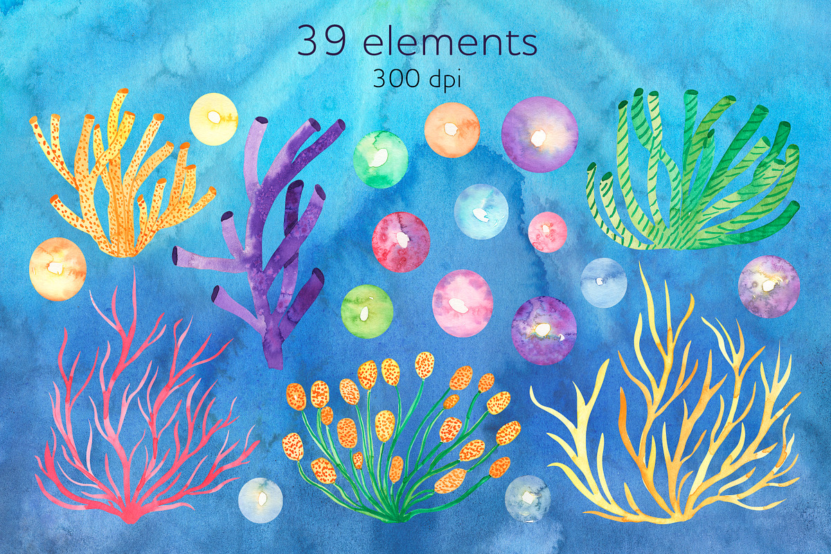 Fish watercolor clipart Ocean png, an Animal Illustration by AnastasiaWatercolor (Photo 4 of 7)