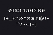 Chayle - Modern Classy Serif, a Serif Font by Typeformers (Thumbnail 9 of 9)