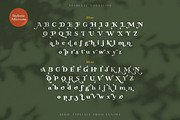 Absolute Borsalino - Serif Font, a Serif Font by Luxima (Thumbnail 9 of 15)