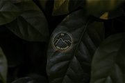 MOUNTAIN Logos, Icons and Frames, a Branding & Logo Template by Andreen (Thumbnail 7 of 15)