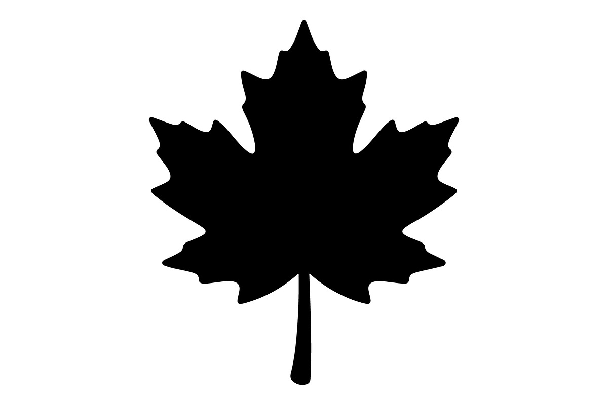 Maple Leaf Oak Leaf Autumn, an Object Graphic by Gfx_Store (Photo 5 of 15)
