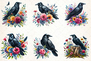 Watercolor Black Raven Clipart, an Illustration by DreamCafeArt (Thumbnail 3 of 7)