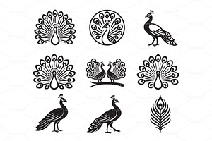 Elegant collection of peacock vector, an Animal Illustration by yod67