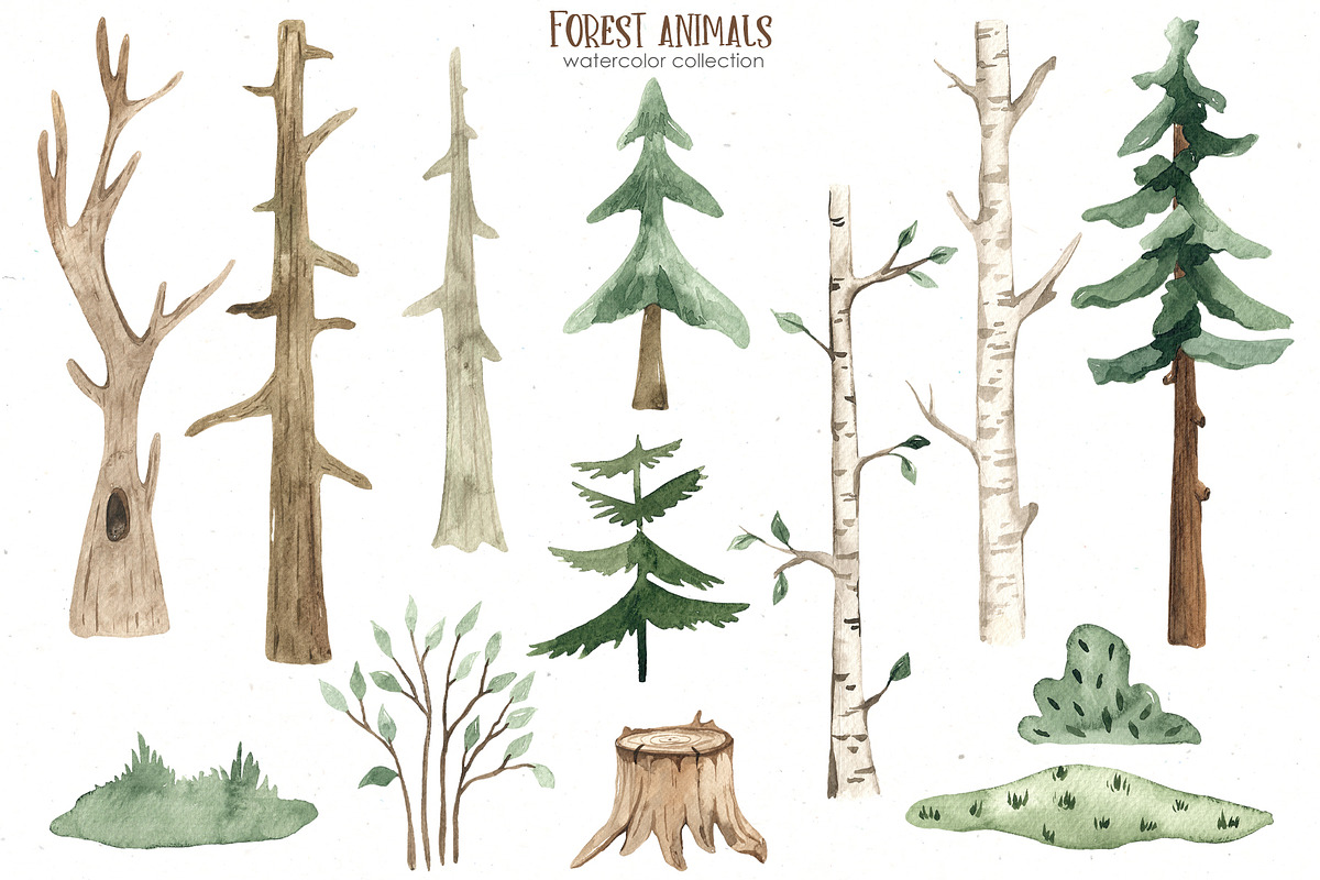 Forest animals watercolor, an Animal Illustration by Marina Ermakova (Photo 4 of 13)