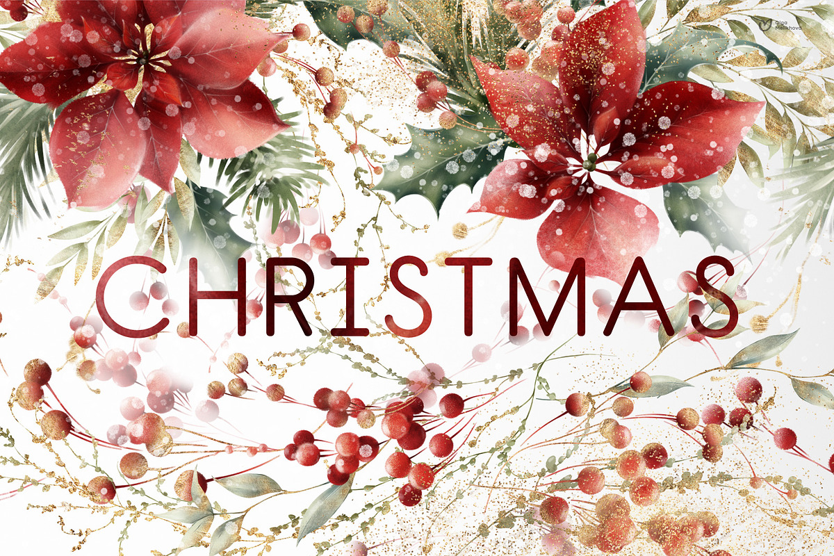 Christmas Graphics, floral cliparts, a Texture Illustration by ollalya (Photo 1 of 15)
